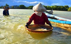 Nghề độc: “Chồng cào, vợ đãi”... kiếm nửa triệu dưới đáy sông