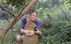Làm giàu ở nông thôn: Đáng mặt nữ nhi khi trồng 20ha cây trái