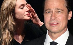 "Angelina Jolie và Brad Pitt tái hợp" chỉ là tin vịt?