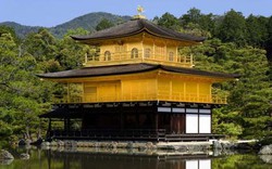 Choáng ngợp ngôi chùa được dát bằng vàng thật ở Nhật Bản