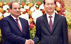 Chủ tịch nước Trần Đại Quang hội đàm với Tổng thống Ai Cập