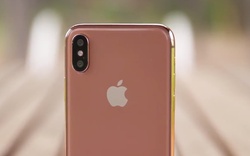 iPhone 8 sẽ có tùy chọn màu mới