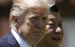 Donald Trump và Tập Cận Bình cùng lên án Triều Tiên