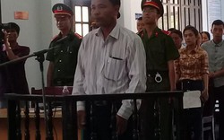 TT-Huế: Sau nhiều năm kêu oan, “vua rừng” vẫn bị phạt tù
