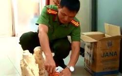 Khởi tố nhân viên hải quan bán ngà voi, sừng tê giác từ kho tang vật