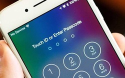 iPhone "đơ" màn hình, thử ngay 4 cách này trước khi mang đi sửa