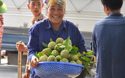 Nhộn nhịp chợ na cuối vụ ở "cổng trời" biên ải Lạng Sơn