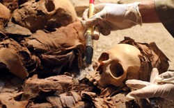 Phát hiện mộ Ai Cập 3.500 năm chứa đầy xác ướp, trang sức