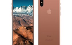 Có tính năng hấp dẫn, nhiều người vẫn không chọn mua iPhone 8?