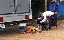 Hà Giang: Bị ô tô tông từ phía sau, người đi xe máy tử vong