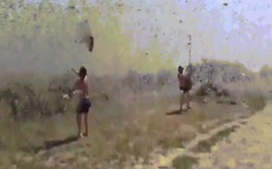 Video dân Nga chiến đấu vô vọng với đàn châu chấu khổng lồ