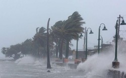 Những kỷ lục kinh hoàng bị siêu bão Irma phá vỡ