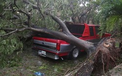 Florida tan hoang xơ xác sau khi siêu bão Irma càn quét
