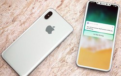 Mổ xẻ ưu nhược điểm màn hình OLED của iPhone X trước giờ G