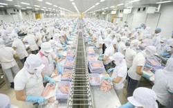 Bộ Tài chính xin giảm 83% phí thẩm định cho DN thực phẩm