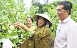 Làm giàu ở nông thôn: Sửa sang nhà, trồng cây trái và đón khách tới ăn
