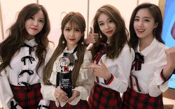 T-ara tổ chức concert tại Việt Nam vào tháng 11