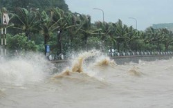 Vì sao bão số 10 là cơn bão đầu tiên ở Việt Nam được cảnh báo đỏ?