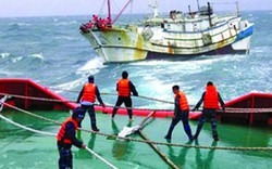Lo bão, Nghệ An "xin" Trung ương hỗ trợ tàu cứu hộ công suất lớn