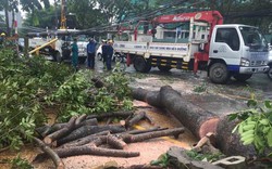 Ảnh hưởng bão số 10, nhiều khu vực Đông Nam Bộ ngập nặng