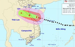 Bản tin thời tiết 7h30: Bão số 10 sắp đổ bộ đất liền, miền Trung đang mưa như trút nước