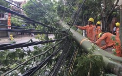 Siêu bão làm nửa triệu dân miền Trung không có điện