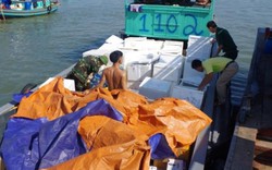 Hàng tấn cá Trung Quốc ồ ạt "bơi" lậu về Việt Nam