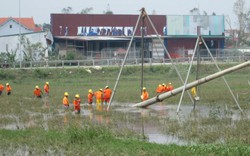 87% số xã, phường của tỉnh Hà Tĩnh đã có điện sau bão
