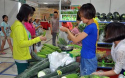 Nông sản, rau củ Đà Lạt xuất Nhật, Đài Loan sắp tràn về Thủ đô
