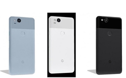 Google Pixel 2 và Pixel 2 XL lộ màu và giá bán