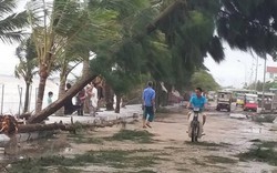 Con số 1.000 tỷ đồng thiệt hại bão tại Thanh Hóa chỉ là tạm tính?