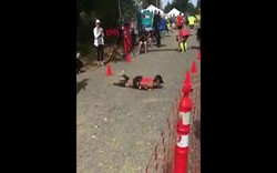 Chạy marathon gần đến đích thì bị ngã, cô gái dùng cách "độc" về đích