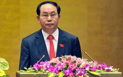 Chủ tịch nước Trần Đại Quang: Lạc quan về tương lai quan hệ Việt Nam- Liên Hợp Quốc