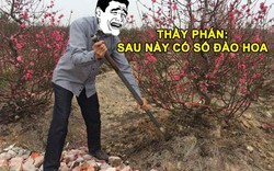 Cười rơi hàm với loạt ảnh "ngày xưa đi xem bói"