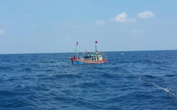 11 ngư dân cùng tàu cá đột ngột mất liên lạc trên biển