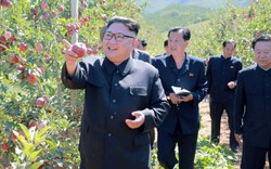 Hoạt động đầu tiên của Kim Jong-un sau khi Trump dọa "hủy diệt"?