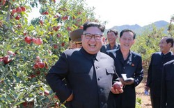Mặc Trump dọa hủy diệt, Kim Jong-un vẫn cười tươi thăm vườn táo trĩu quả