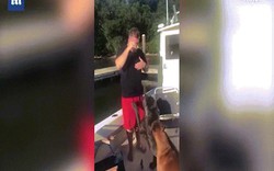 Chó khổng lồ “ngứa mắt” đẩy chủ xuống hồ bơi
