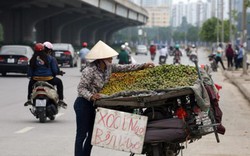 Hà Nội: Truy xuất nguồn gốc, dẹp buôn bán trái cây trên vỉa hè?