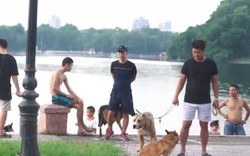 Clip: Chó không rọ mõm, thả rông khắp công viên, đường phố Hà Nội