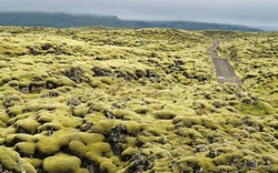 Cánh đồng dung nham như trên hành tinh khác ở Iceland