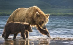 Mãn nhãn với ảnh thiên nhiên đẹp xuất sắc trên National Geographic