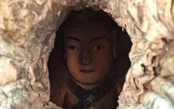 TQ: Đầu tượng Phật lộ ra từ thân cây 1.000 tuổi