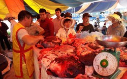 Lễ hội chọi trâu Đồ Sơn: Trong sới - trâu vẫn chọi, ngoài sới - trâu thua bị xẻ thịt bán