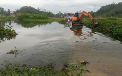 Phát hiện thi thể người đàn ông trong đám bèo sau 14 ngày mất tích