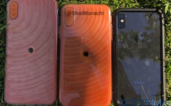 “Hình nộm” iPhone X Plus và iPhone 9 bất ngờ xuất hiện