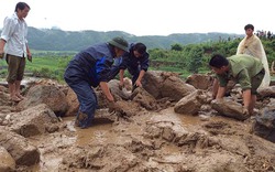 Phòng chống lũ ống, lũ quét: Cần một phương án ứng phó khác bão