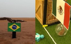 Clip dự đoán Brazil vs Mexico: Hamster "tiên tri" kết quả bất ngờ