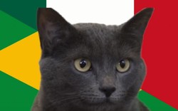 Mèo tiên tri Cassi dự đoán kết quả Brazil vs Mexico: Sốc nặng