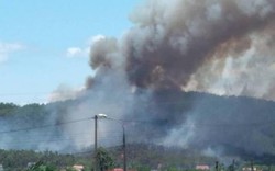 Nắng nóng, rừng thông bốc cháy, huy động hơn 1.000 người dập lửa